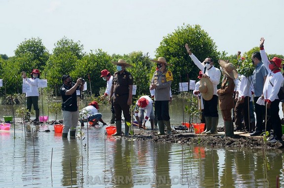 Tanam Mangrove di Langkat, Gubernur Sumut Ajak Masyarakat Lestarikan Alam