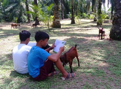 Pandemi Tidak Menyurutkan Semangat Anak Belajar di Asahan, Ini Momen Menariknya