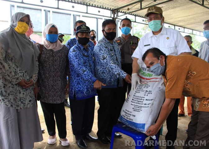 Bupati Dairi Bagikan Bantuan Pupuk Organik Tanaman Kelapa Genjah Pandan Wangi di Desa Kentara