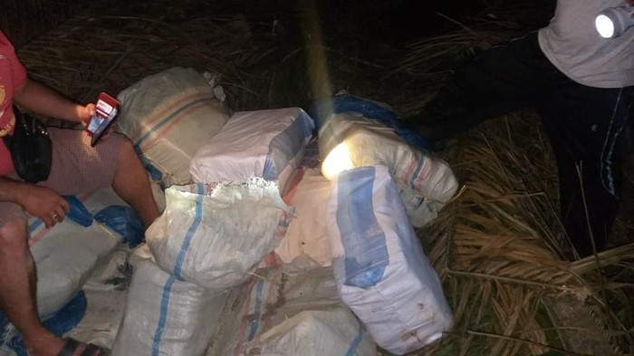 350 Kg Ganja Diamankan Polisi di Padangsidimpuan, Pemiliknya Diburu