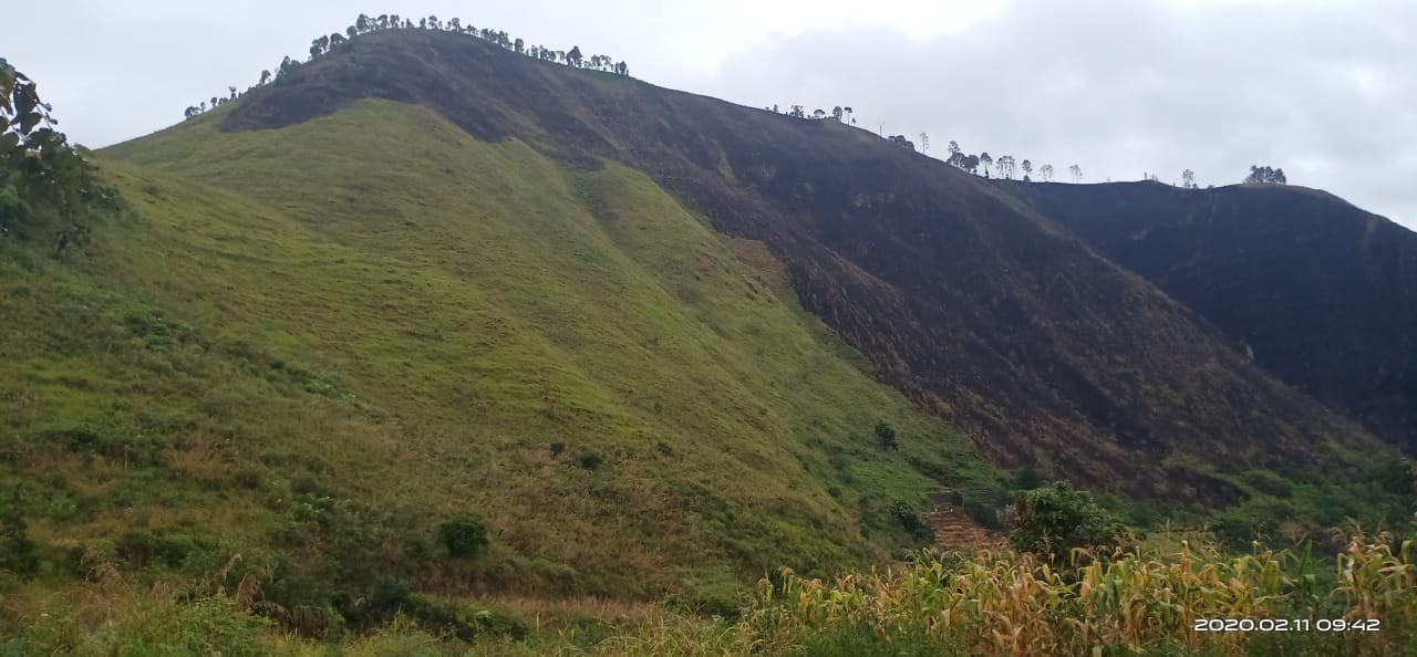 Kebakaran di Sipiso-piso Berhasil Dipadamkan, Diperkirakan 21 Ha Ludes Terbakar