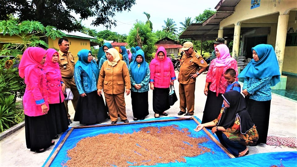 Desa Sidodadi Ramunia Dikunjungi Tim Evaluasi UP2K Provinsi Sumatera Utara