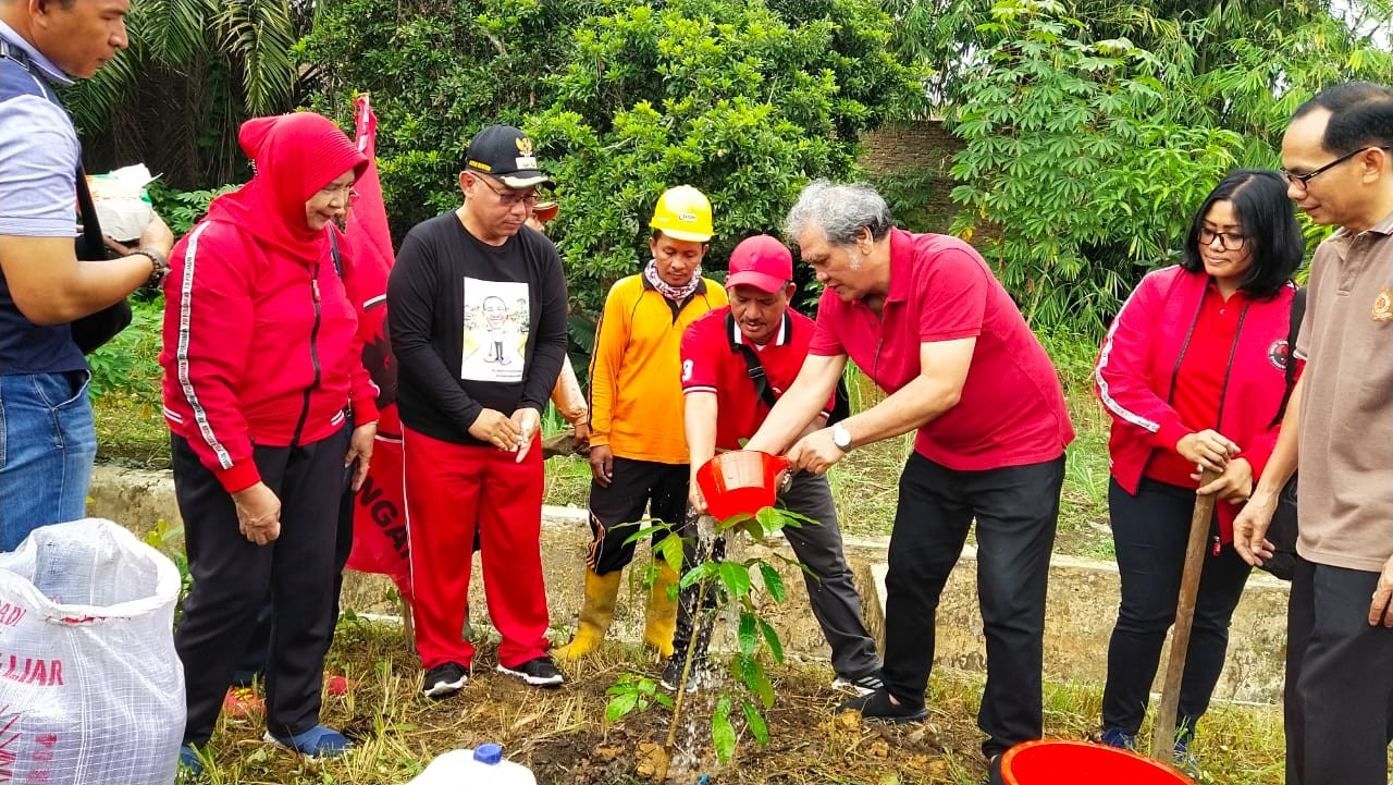 Peringati HUT PDIP, Japorman Saragih Ajak Kader Tanam 5000 Pohon di Medan