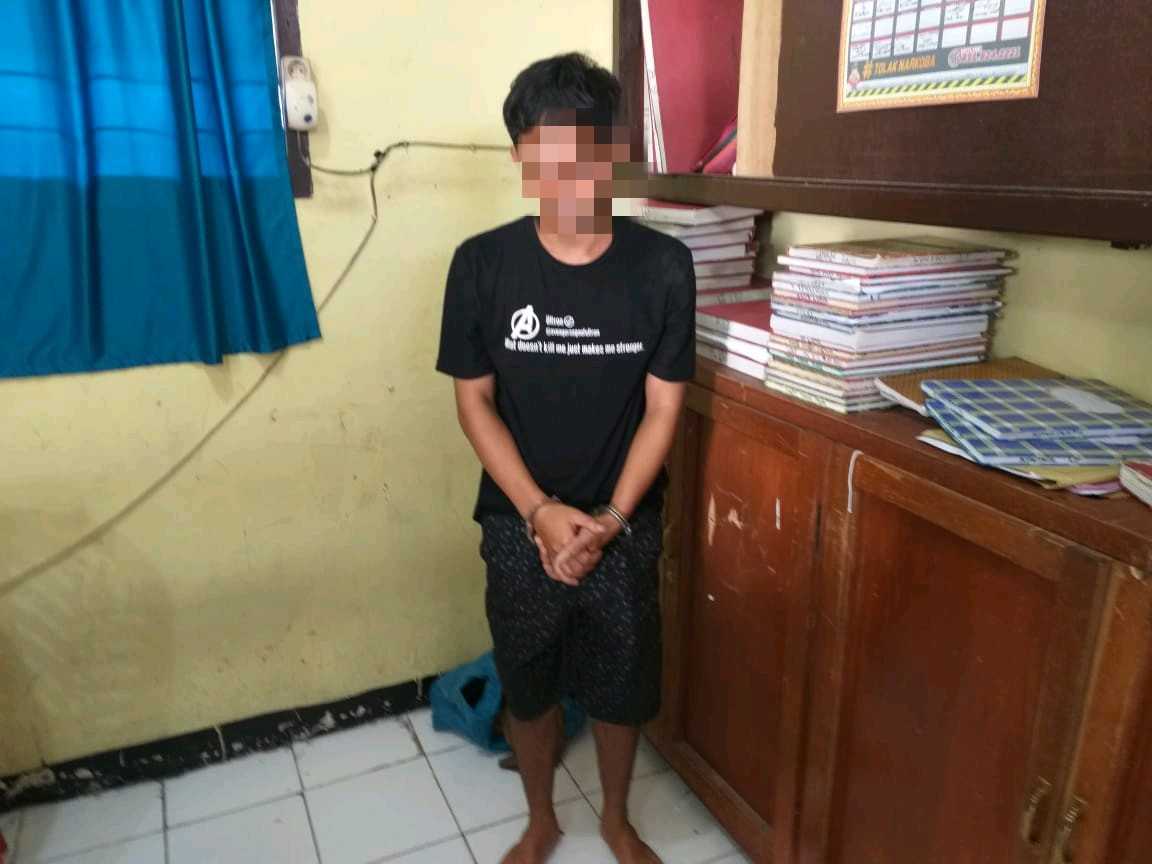 Pengembangan Kasus 30,50 Gram Ganja, Polres Taput Berhasil Tangkap Satu Tersangka Baru 