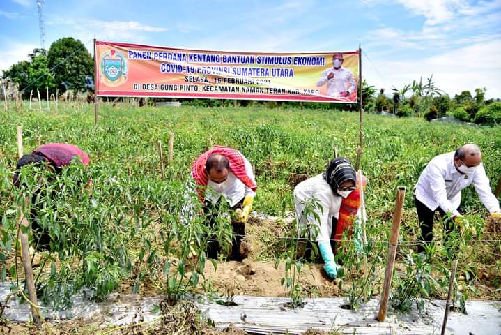 Gubernur Edy Rahmayadi Dukung Hasil Pertanian Jadi Industri Makanan Olahan