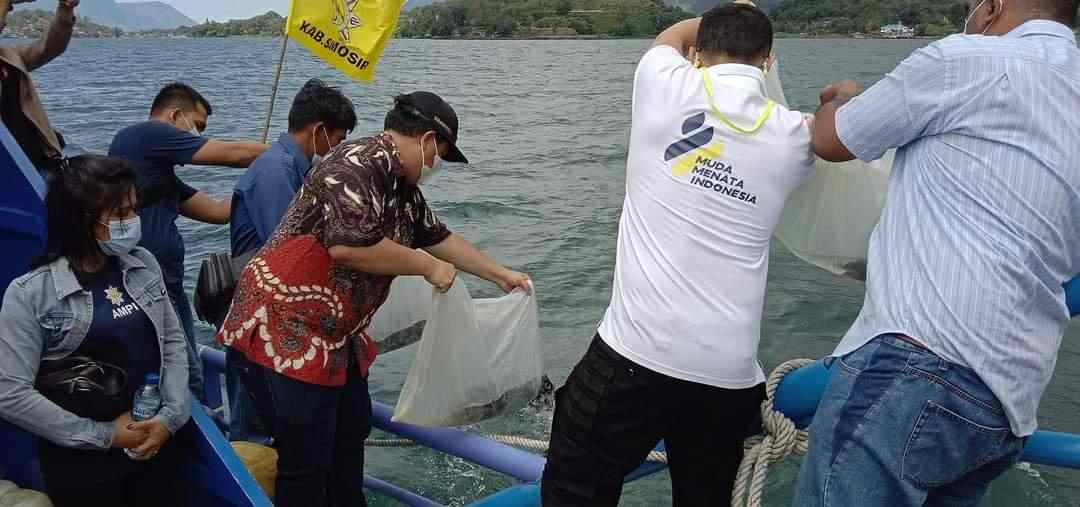 Bupati Samosir Bersama Ketua AMPI Sumut Tabur 25 Ribu Benih Ikan ke Danau Toba