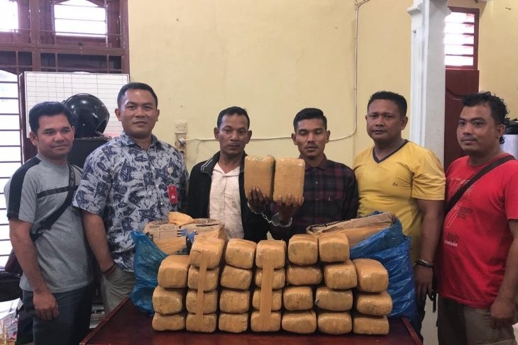 Polres Langkat Gagalkan Pengiriman 28 kg Ganja dari Aceh Ke Bengkulu