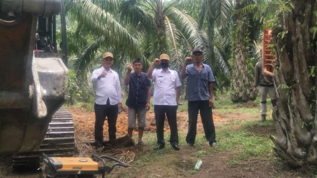 Tahun Ini Pemkab Asahan Targetkan Seribu Hektar PSR