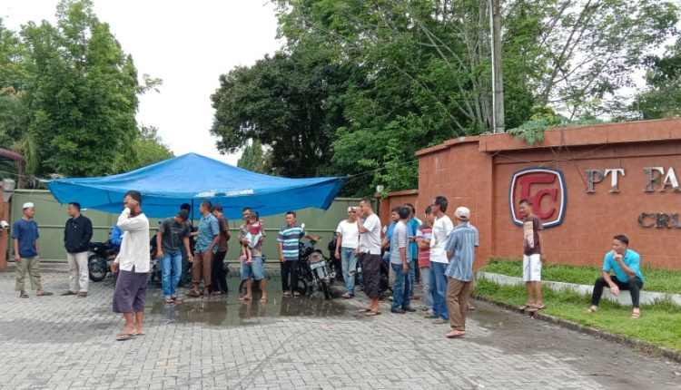 Tuntut Hak, Karyawan PT Fairco Bumi Lestari Pasang Tenda Biru Didepan Pabrik