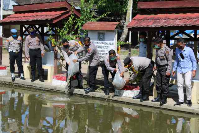 Program Ketahanan Pangan, Polres Tapteng Tabur Benih Nila dan Panen Sayuran