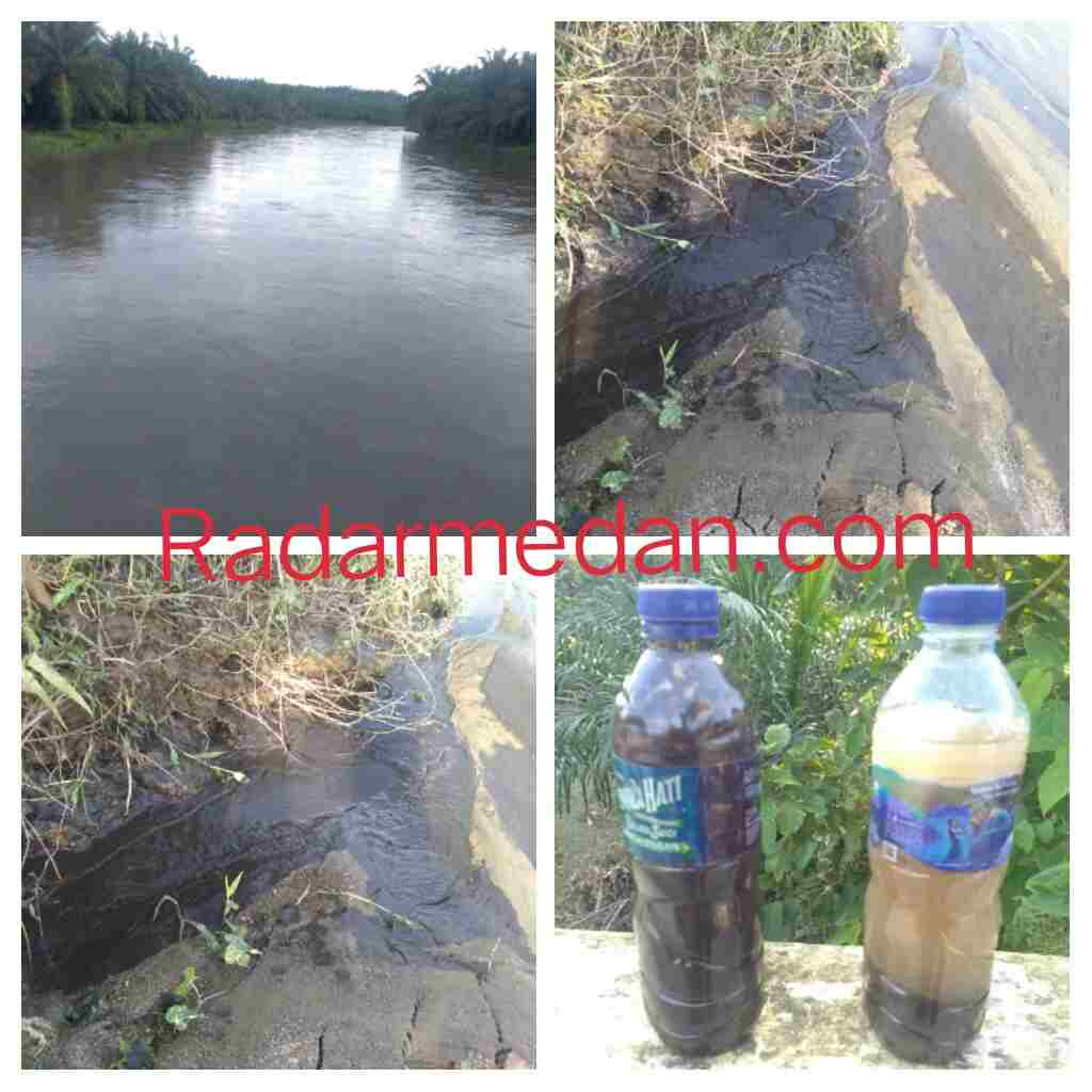 Salah Satu Perusahaan di Kecamatan Bp Mandoge Diduga Buang Limbah Ke Sungai Piasa Tinggi Raja 