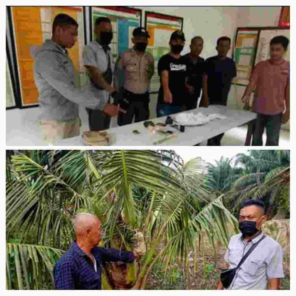 Warga Sei Renggas Dihebohkan Penemuan 52 Butir Ekstasi Tak Bertuan