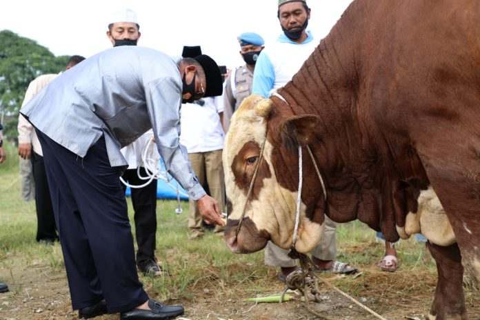 Polda Sumut Dibawah Kepemimpinan Irjen Pol Martuani Sormin Serahkan 435 Ekor Hewan Kurban