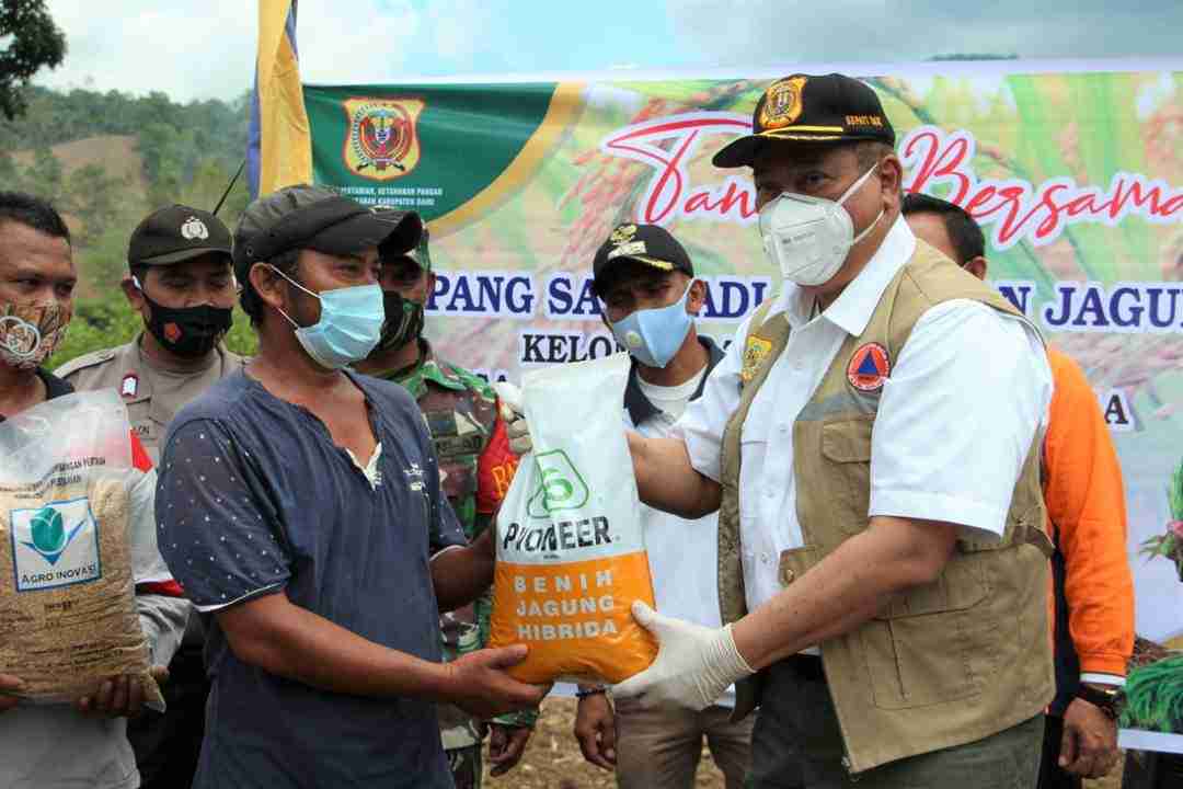 Bupati Dairi Tanam Padi Gogo dan Jagung Bersama Kelompok Tani Martunas Desa Lau Mil Tigalingga