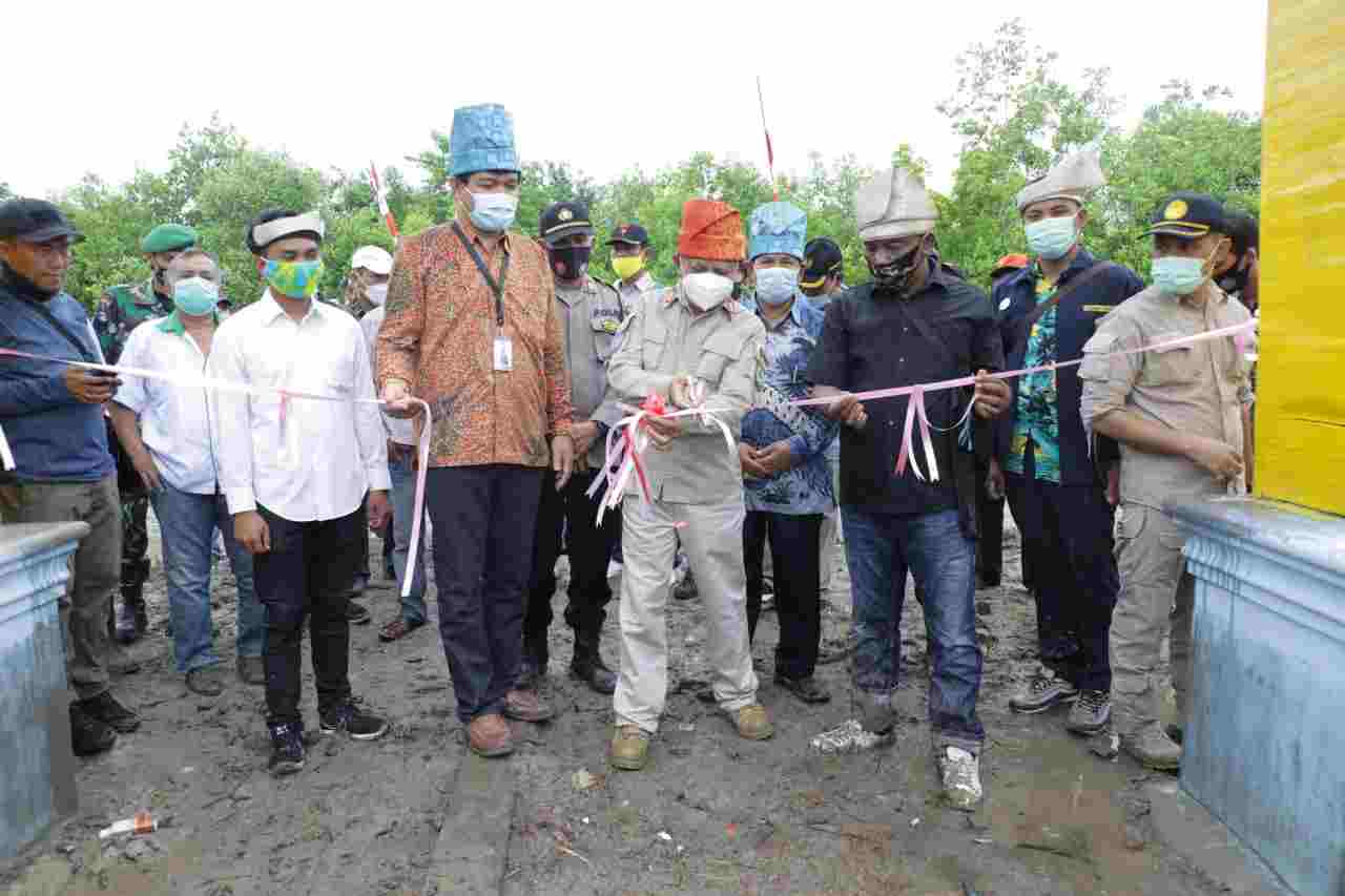 Resmikan Nursery Mangrove Desa Silo Baru, Ini Harapan Bupati Asahan 
