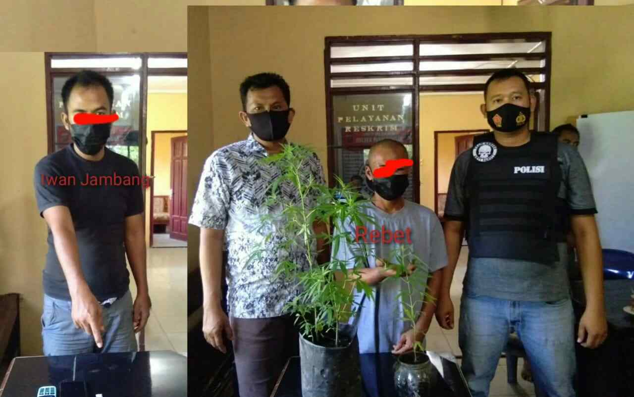 Hari Pertama Ops Antik Toba Polsek Paten Ungkap Dua Kasus Narkoba