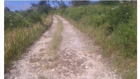 Jalan Penghubung Simpang Namuseng ke Lae Rambung Rusak Berat