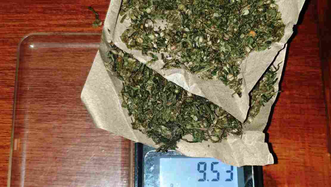 Polsek Pangkalansusu Tangkap Pengedar Daun Ganja Kering Seberat 9,53 Gram