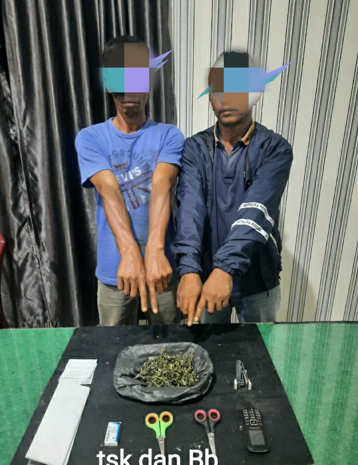 Personil Polsek Kutabuluh Tangkap Dua Pria Pemilik Ganja 