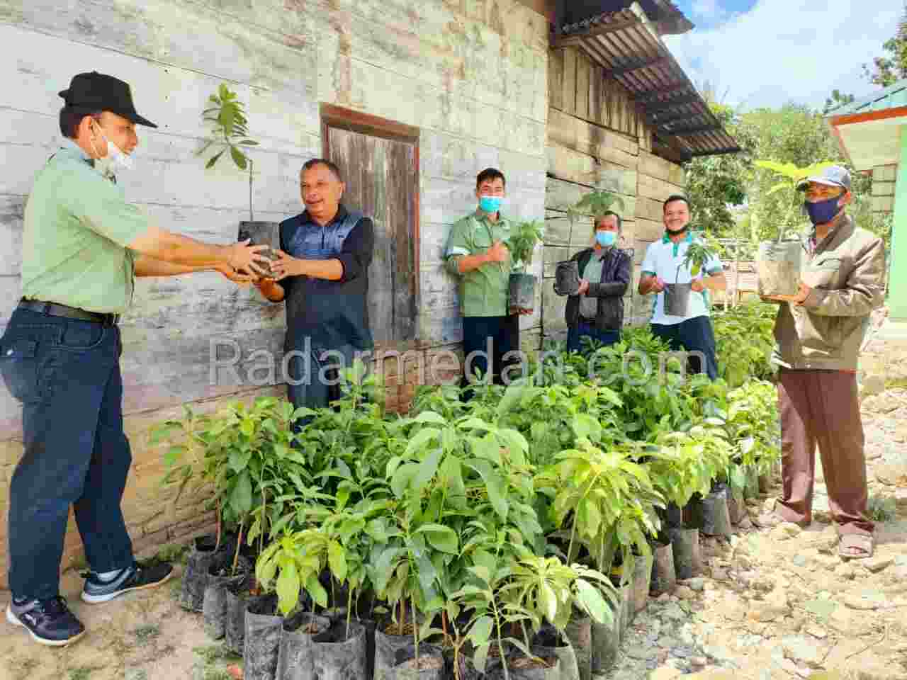 Sejumlah Warga Desa Lobu Nauli Terima Bantuan Bibit Alpukat dari TPL