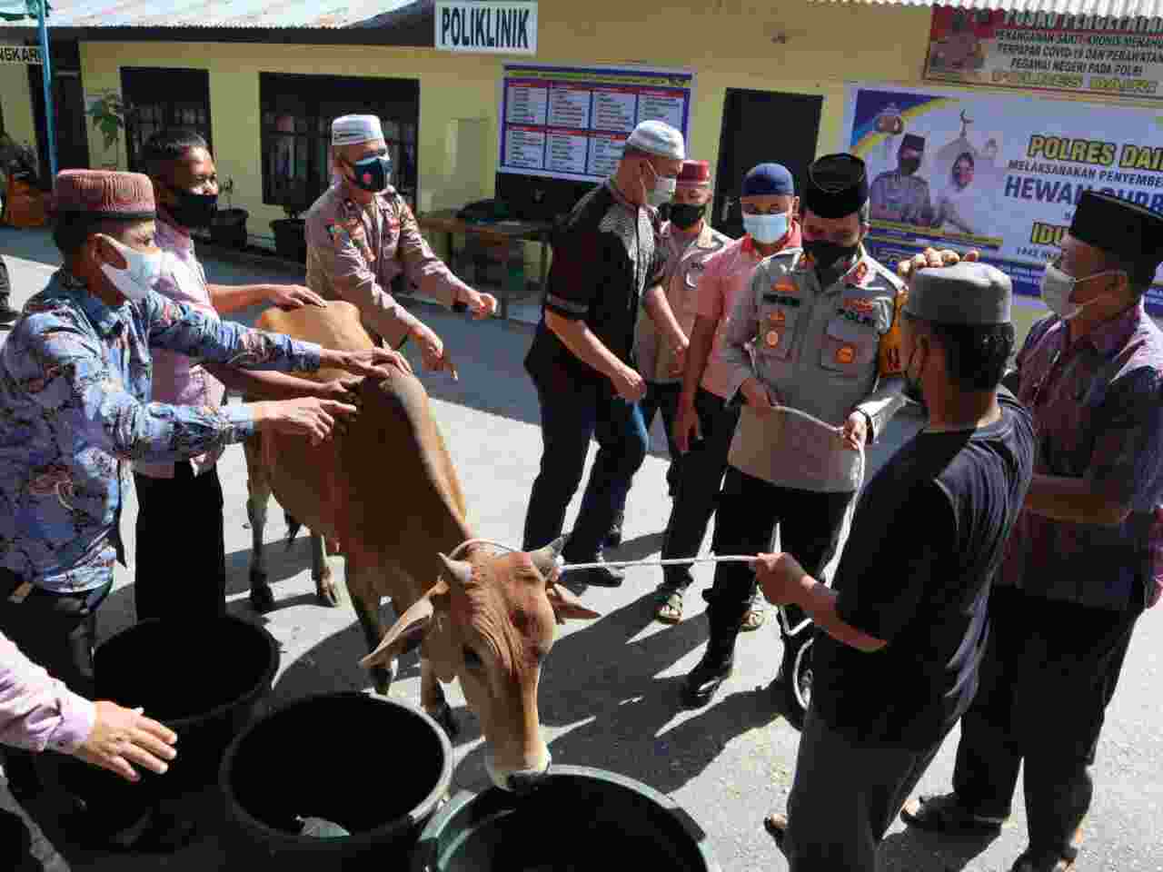 Peringatan Idul Adha, Polres Dairi Sembelih Lembu Bersama Panitia Qurban