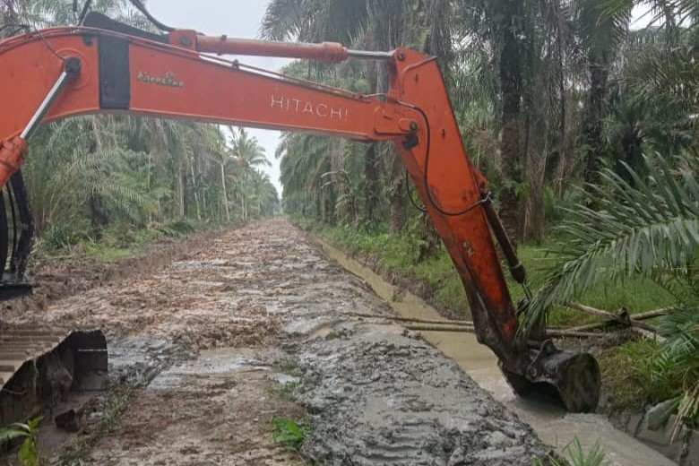 PT Socfindo Negerilama Bangun Infastruktur Jalan bagi Petani Mitra