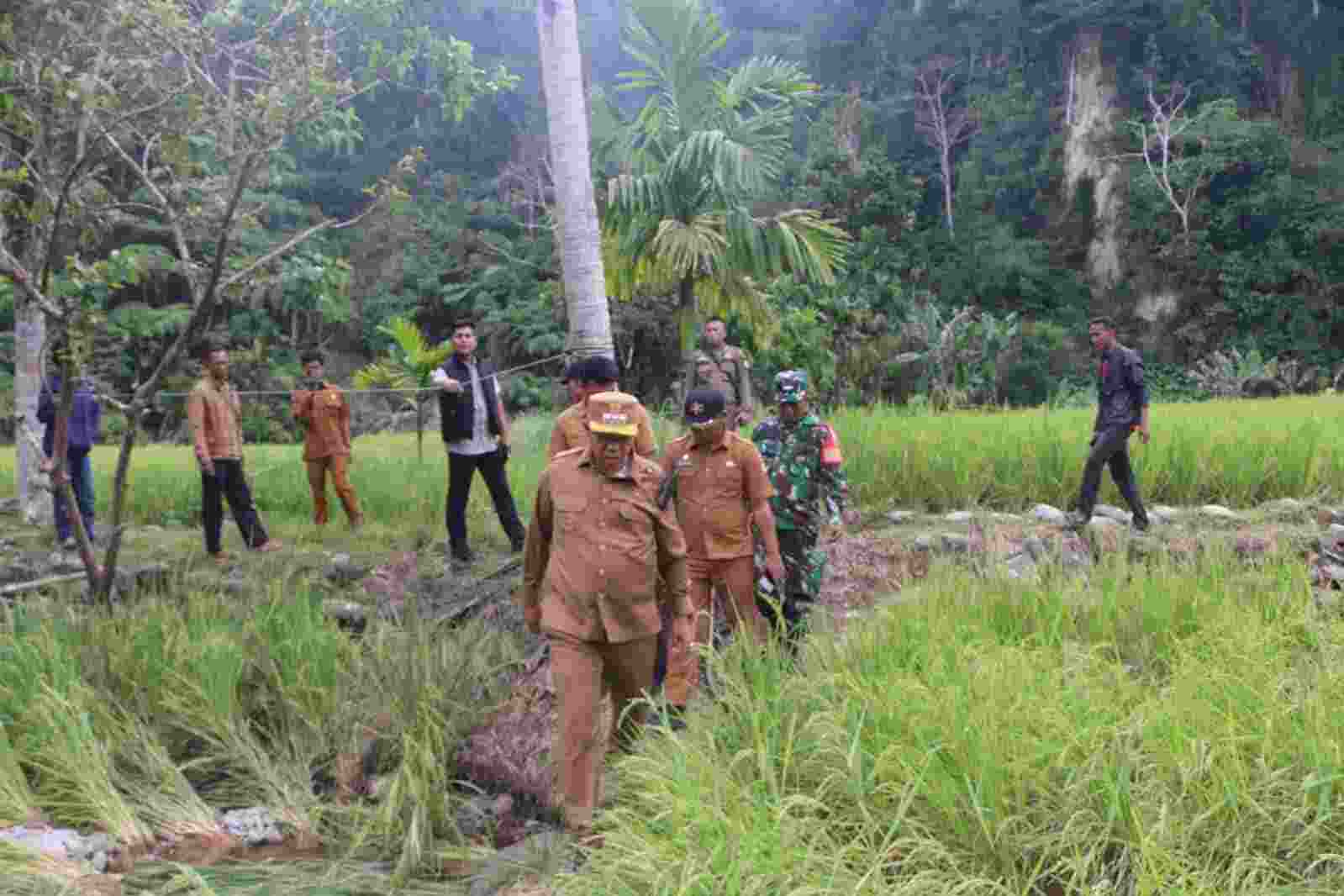 Bupati Taput Tinjau Jembatan Ambruk dan Lahan Pertanian di Garoga