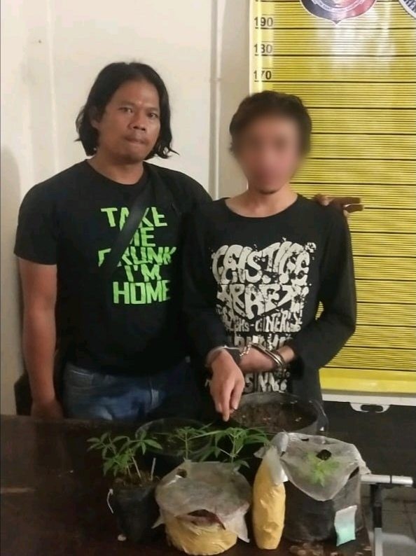 Pemuda Ini Nekat Tanam Ganja Belakang Rumah, Akhirnya Menginap di Hotel Prodeo