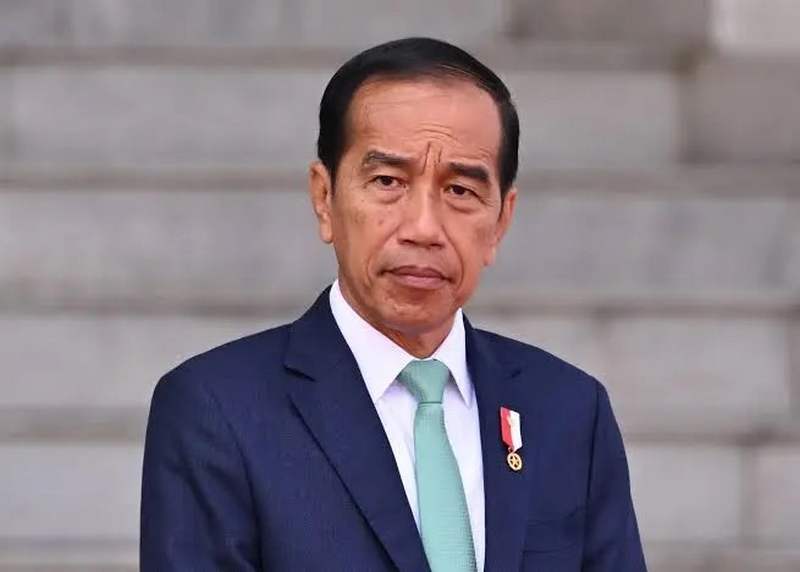 Survei LPI: Sosok Jokowi Jadi Magnet Utama Pendongkrak Citra Positif PSI
