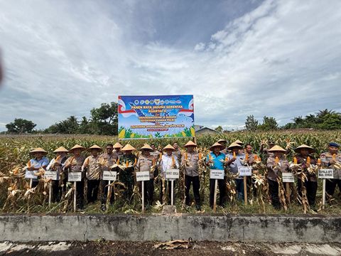  Polres Sergai Gelar Panen Raya Jagung dan Sukseskan Program Ketahanan Pangan Polri