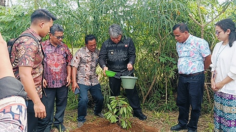 Pemkab Taput Gandeng TJSL PT Taspen (Persero) Bantu 1.500 Bibit Durian Unggul ke Petani Parmonangan