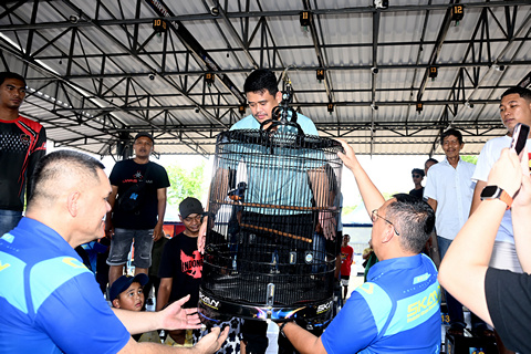 Buka Kontes Burung Berkicau, Bobby Nasution Dorong Sumut Jadi Pusat Kicau Mania Nasional
