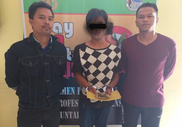 Diduga Edarkan Ganja, Seorang Pria Dibekuk Polres Tapanuli Utara