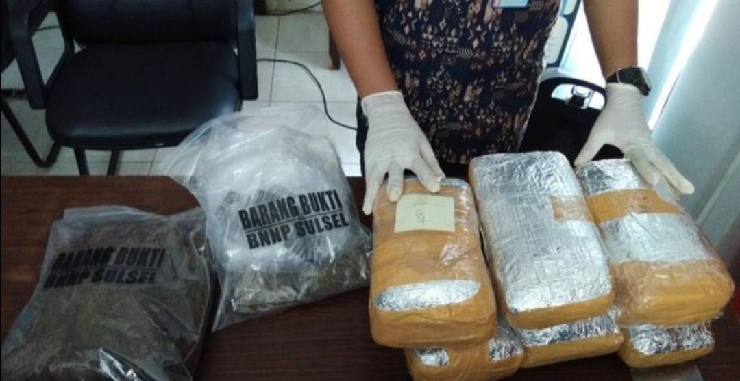 BNN Sulsel Gagalkan Peredaran Ganja Asal Medan