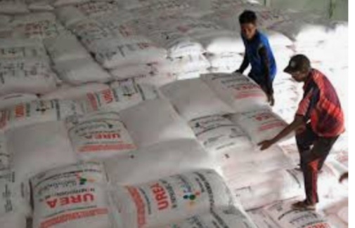 Pastikan Distribusi Pupuk Bersubsidi Tepat Sasaran, Ini Kata Kadistan Karo