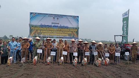 Pemkab Taput Dorong Sijaba Jadi Kawasan Pertanian Terpadu Tanam Jagung 1O H di Lokasi 50 H