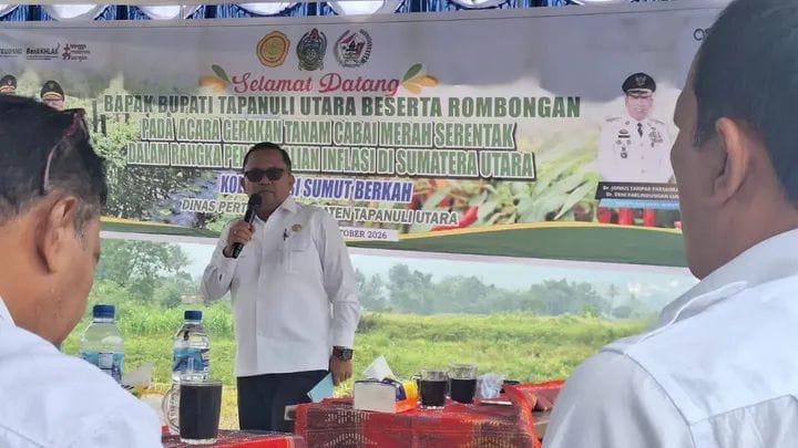 Tanam_Cabati_Taput.jpg