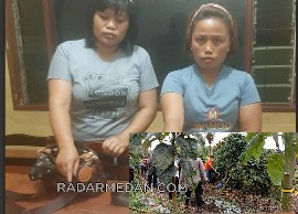 Polisi Tangkap Dua Wanita Terduga Pelaku Pembunuhan di Kecamatan Purba 