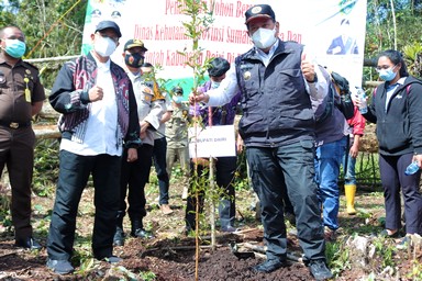 Komit Jaga Lingkungan, Bupati Dairi dan Dinas Kehutanan Tanam Pohon di Kawasan Lae Pondom