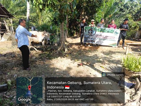 Idul Adha 1447 H, PT Raya Padang Langkat Salurkan Hewan Kurban di Langkat dan Aceh Tamiang
