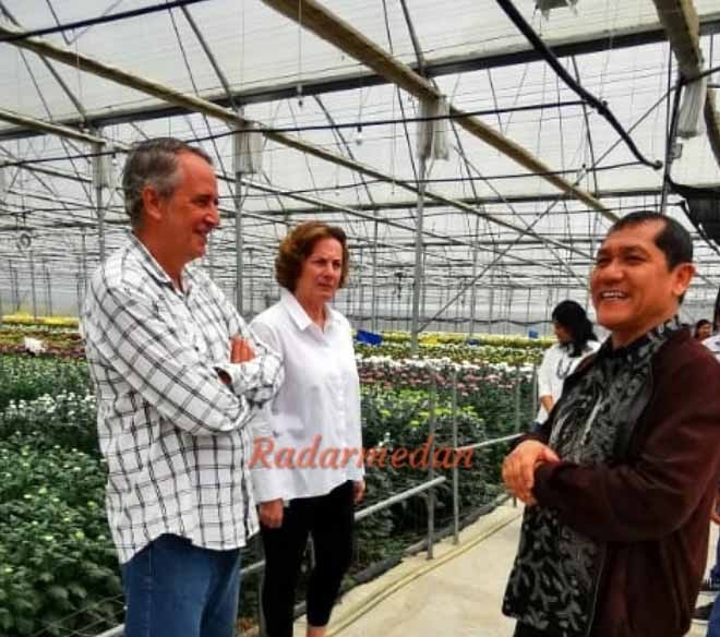 Bupati Karo Instruksikan Studi Tiru Green House Bunga Krisan