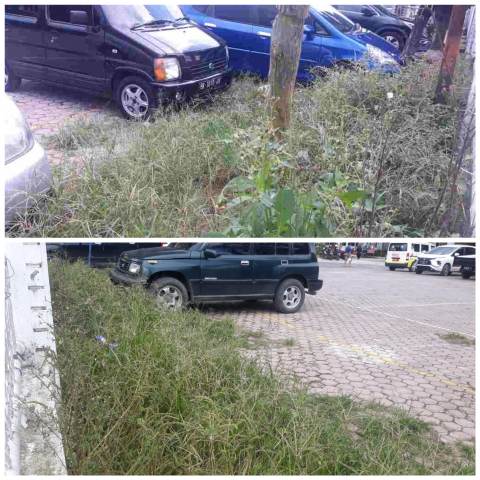 Memprihatinkan, Halaman Kantor DPRD Karo  Tumbuh Subur Semak Belukar