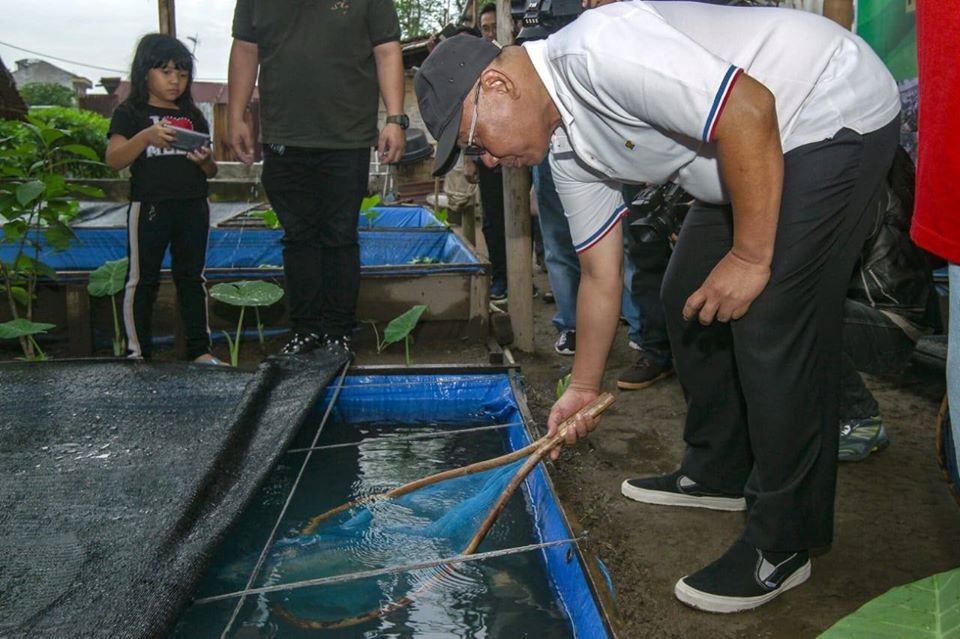 Plt Walikota Medan Beri Apresiasi Warga Ternak Ikan Tawar di Halaman Rumahnya