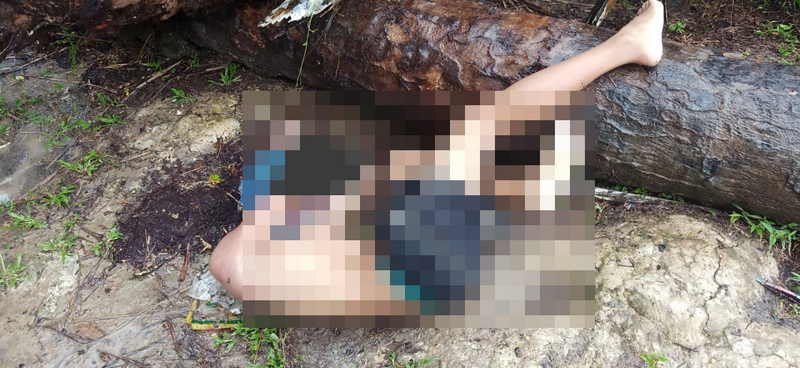 Asyik Bermain, Seorang Pelajar Tewas Tertimpa Pohon Kelapa Sawit