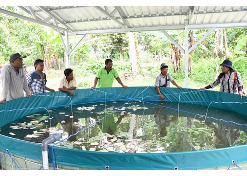 Sinergi Kementerian Kelautan dan Perikanan, Pemkab Samosir Kembangkan Budidaya Ikan Sistim Bioflok