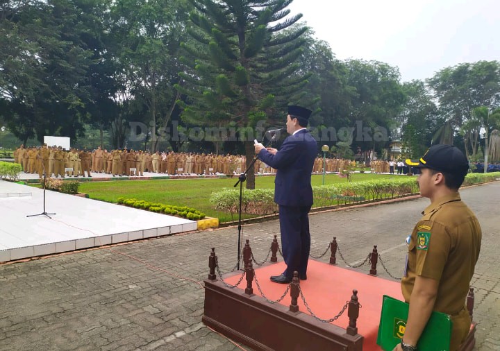 Pemkab Langkat Manfaatkan Aplikasi e-Goverment Untuk Memudahkan Pekerjaan