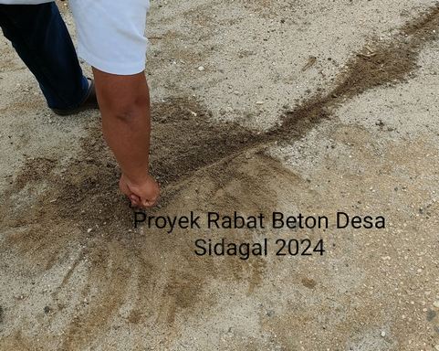 sidagal2.jpg