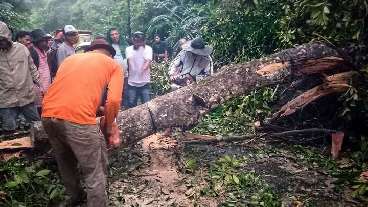 Pemerintah Kecamatan Pahae Julu Bersihkan Sisa Pohon Tumbang di Jalinsum Desa Sitoluama