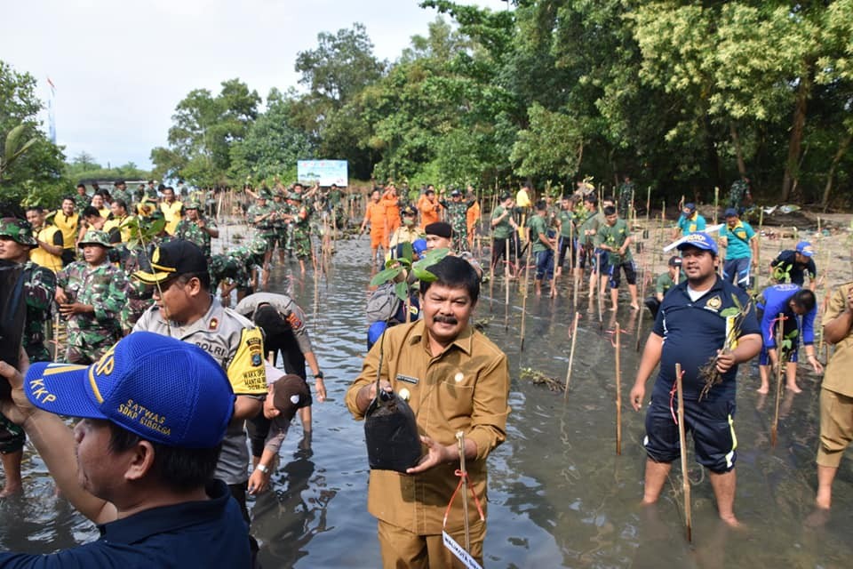 Wakil Walikota Sibolga Ikut Tanam Mangrove